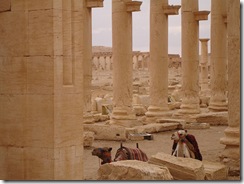 Palmyra